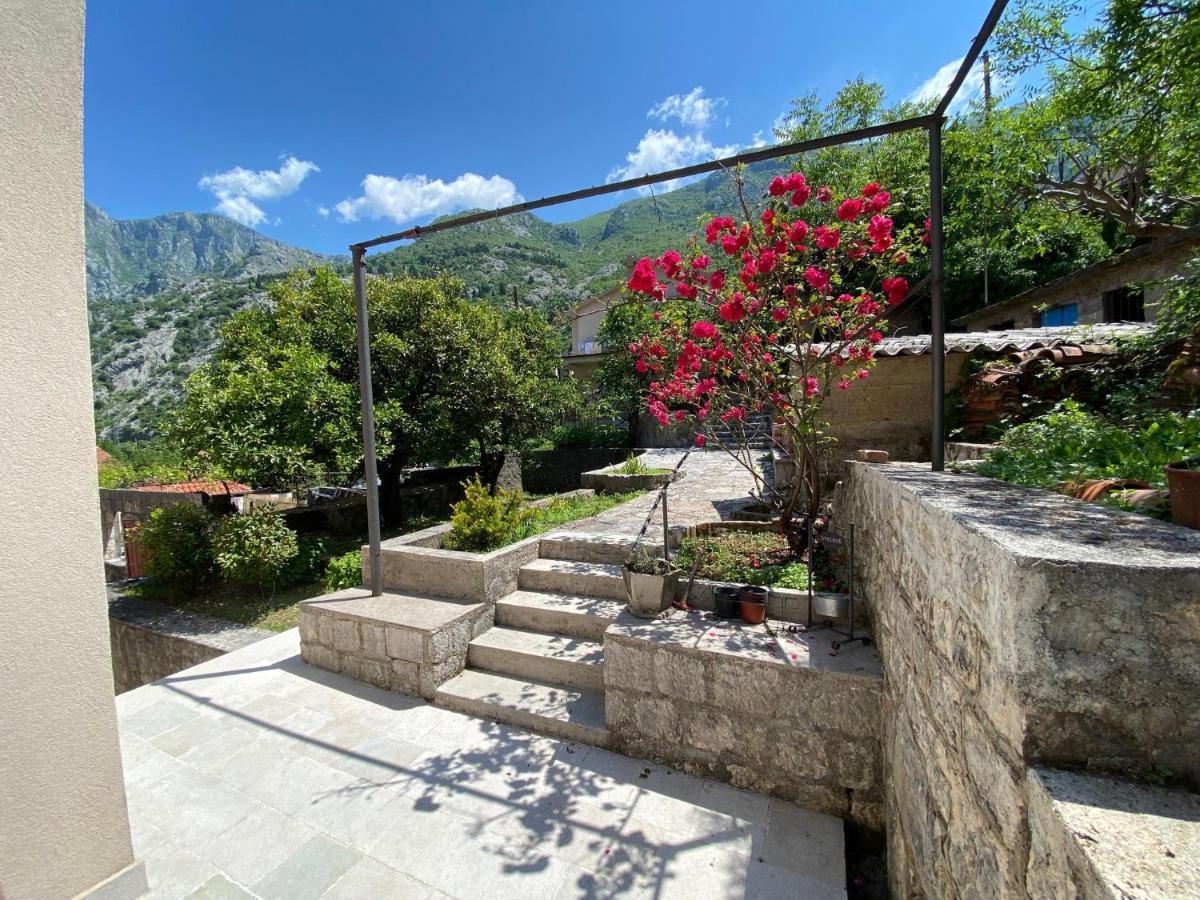 Apartments Mezini 11 Kotor Exteriér fotografie